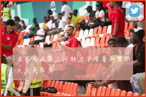 活塞或成第三方助力字母哥加盟热火交易希罗