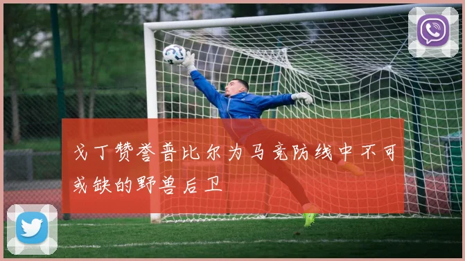 戈丁赞誉普比尔为马竞防线中不可或缺的野兽后卫