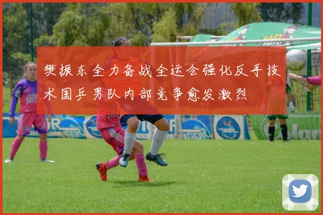 樊振东全力备战全运会强化反手技术国乒男队内部竞争愈发激烈