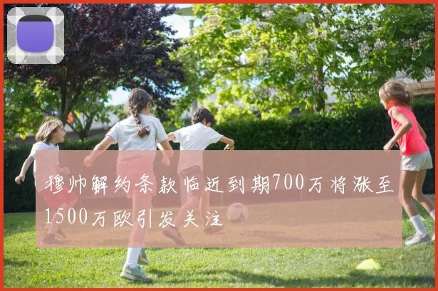 穆帅解约条款临近到期700万将涨至1500万欧引发关注